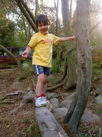 /album/fotogaleria/p1012572-jpg/